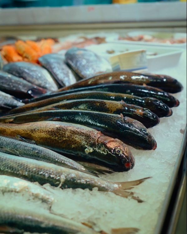 Fisch auf Eis